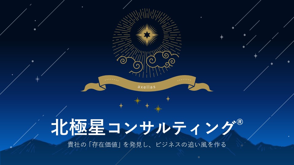 北極星コンサルティング